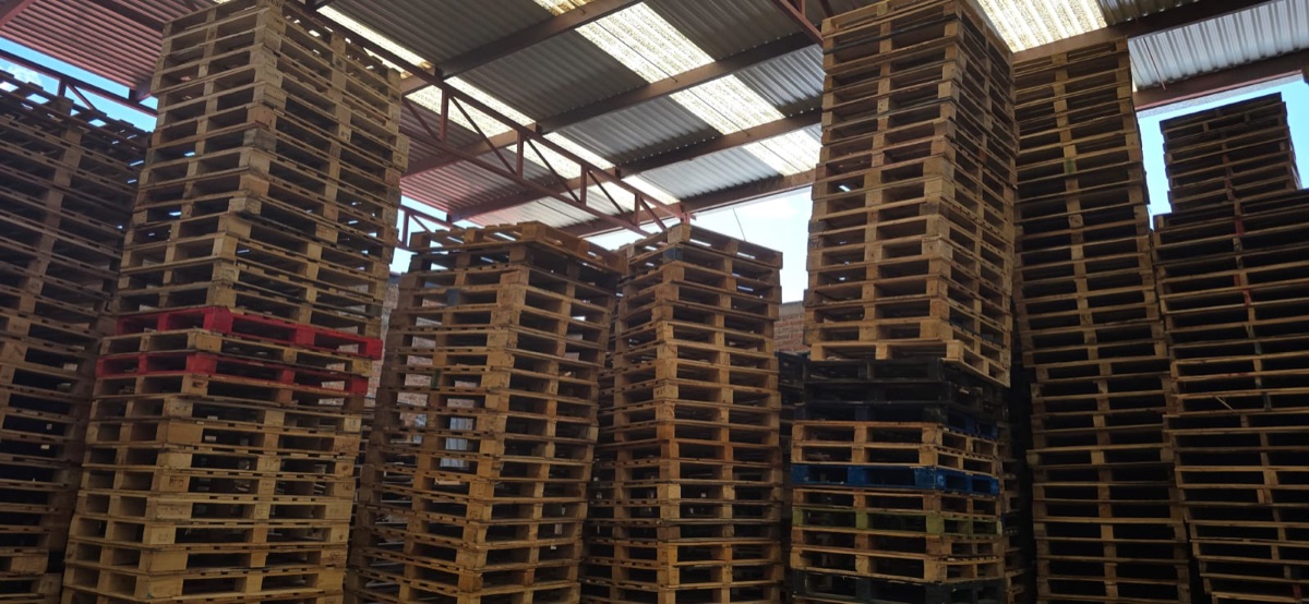 Stacks de tarimas en planta